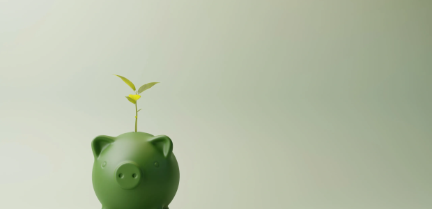 seguro de vida dotal